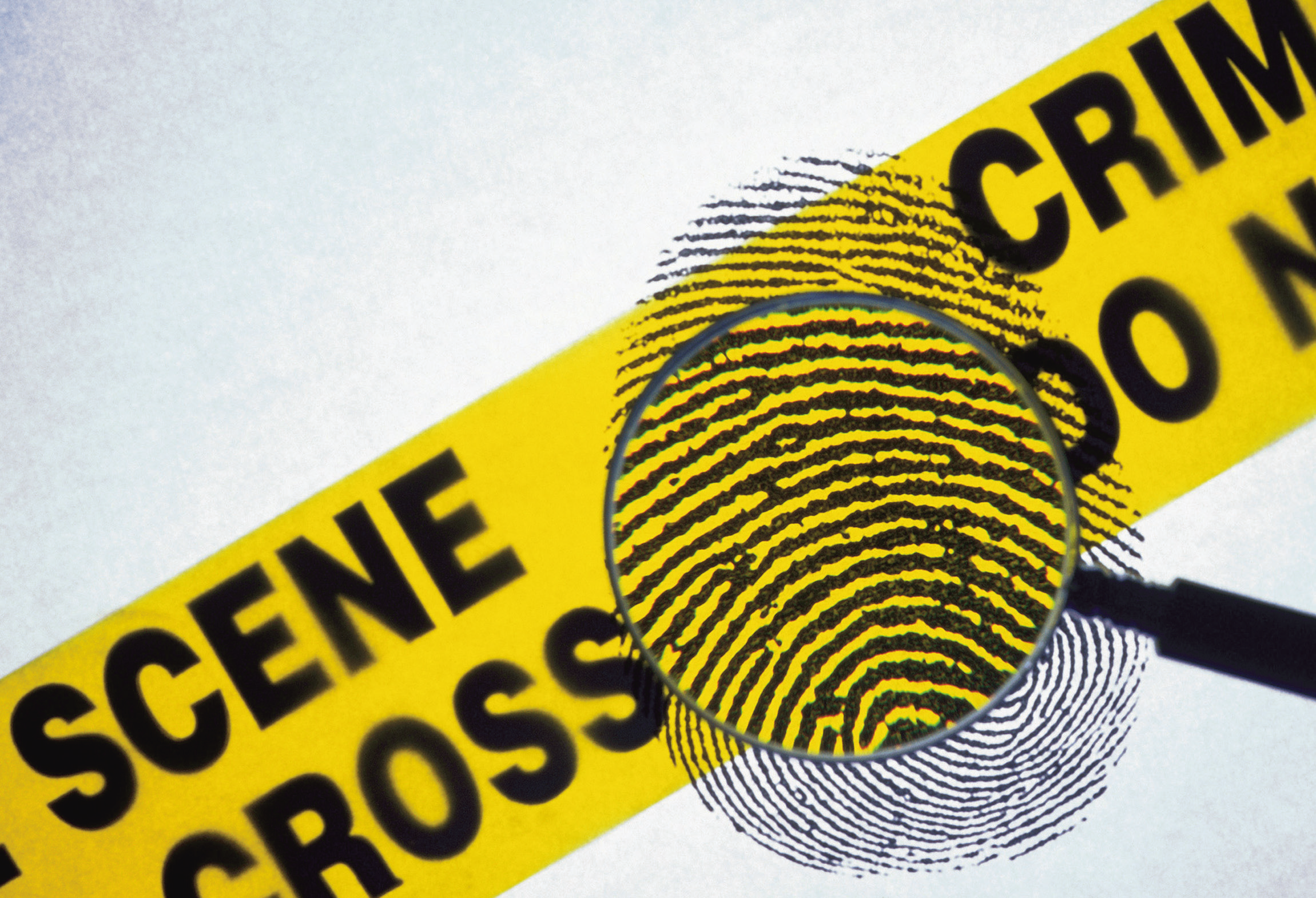 forensics scientist