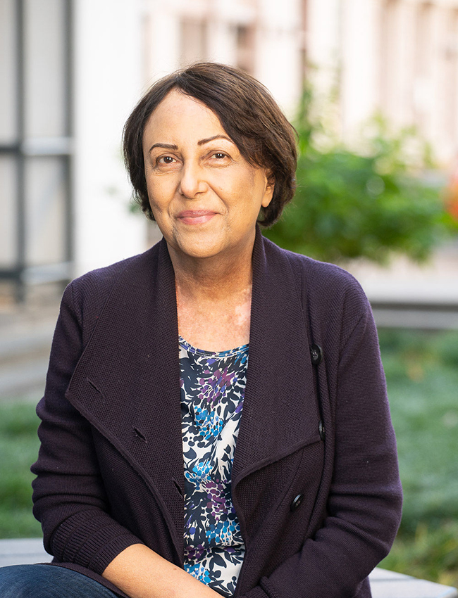 Samia Fam, Chief of the Appellate Division