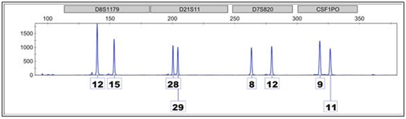 DNA1 DNA1