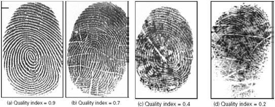 Fingerprints1